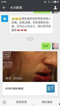 娱乐吃瓜摄影师百度云资源,独家百度云资源大揭秘