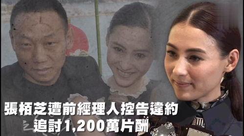 娱乐吃瓜婆,吃瓜婆带你探秘明星幕后故事
