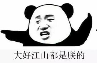 吃瓜群是干嘛的,网络社交新趋势的诞生与影响